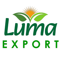 Logo Luma Export